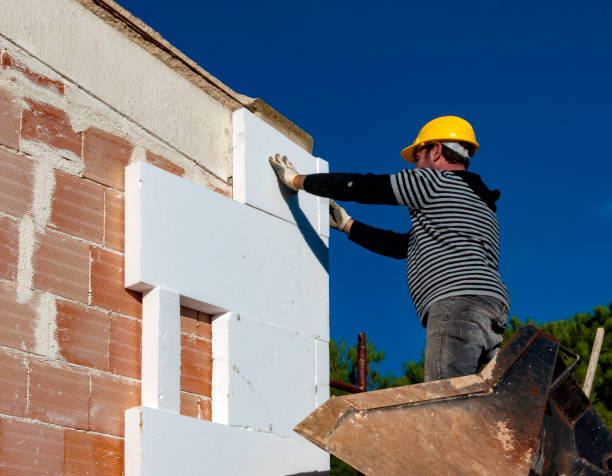 Best Specialized Insulation Services in Summerlin South, NV