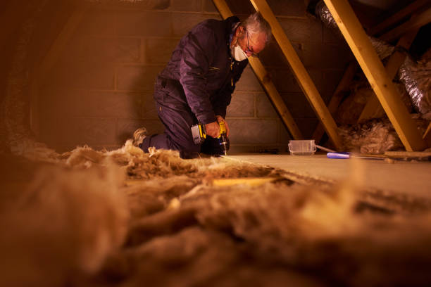 Best Commercial Insulation in Summerlin South, NV